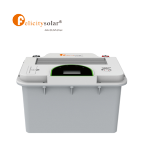 LiFePO4 battery  FLA12200